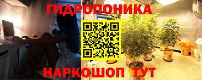spice Кунгур