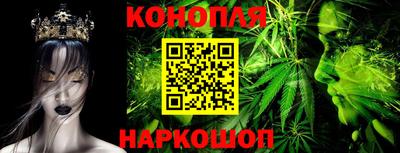 spice Кунгур
