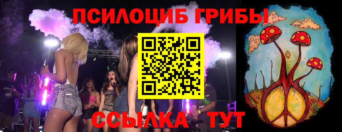 Ялуторовск  Галлюциногенные грибы Psilocybe  Вход с VPN 